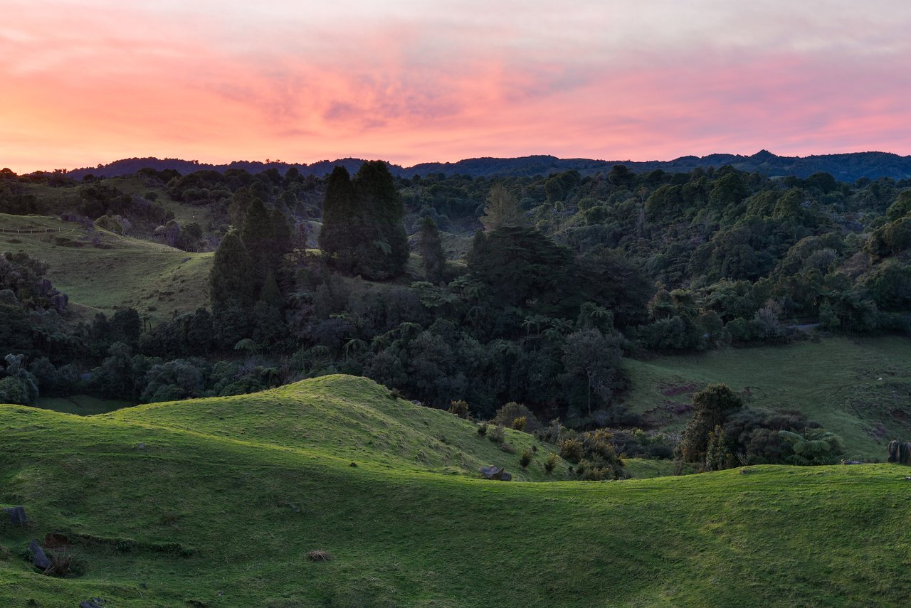 places-to-go-in-the-waikato-waikatonz