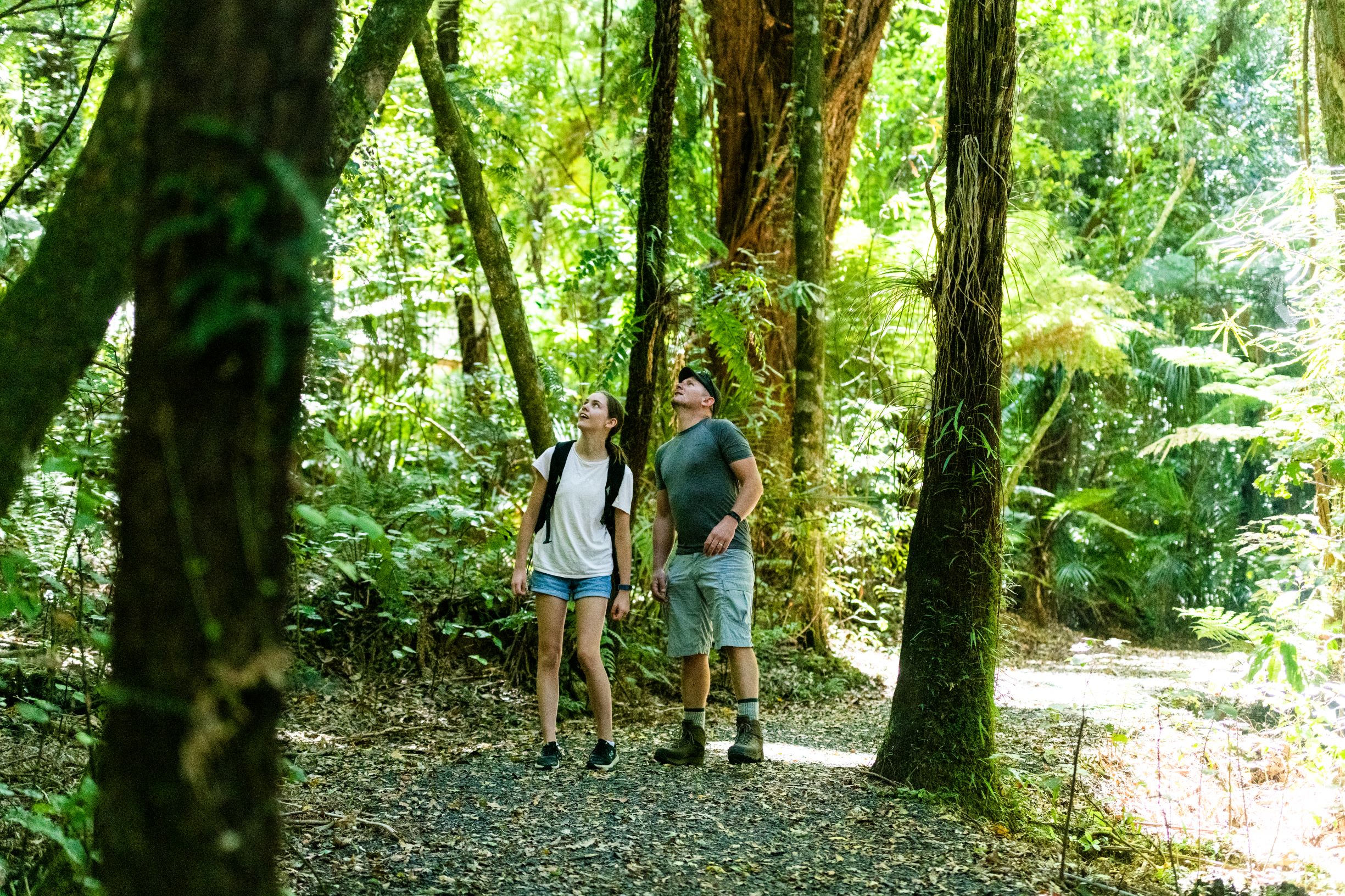 Waikato walks: Sanctuary Mountain Maungatautari - WaikatoNZ