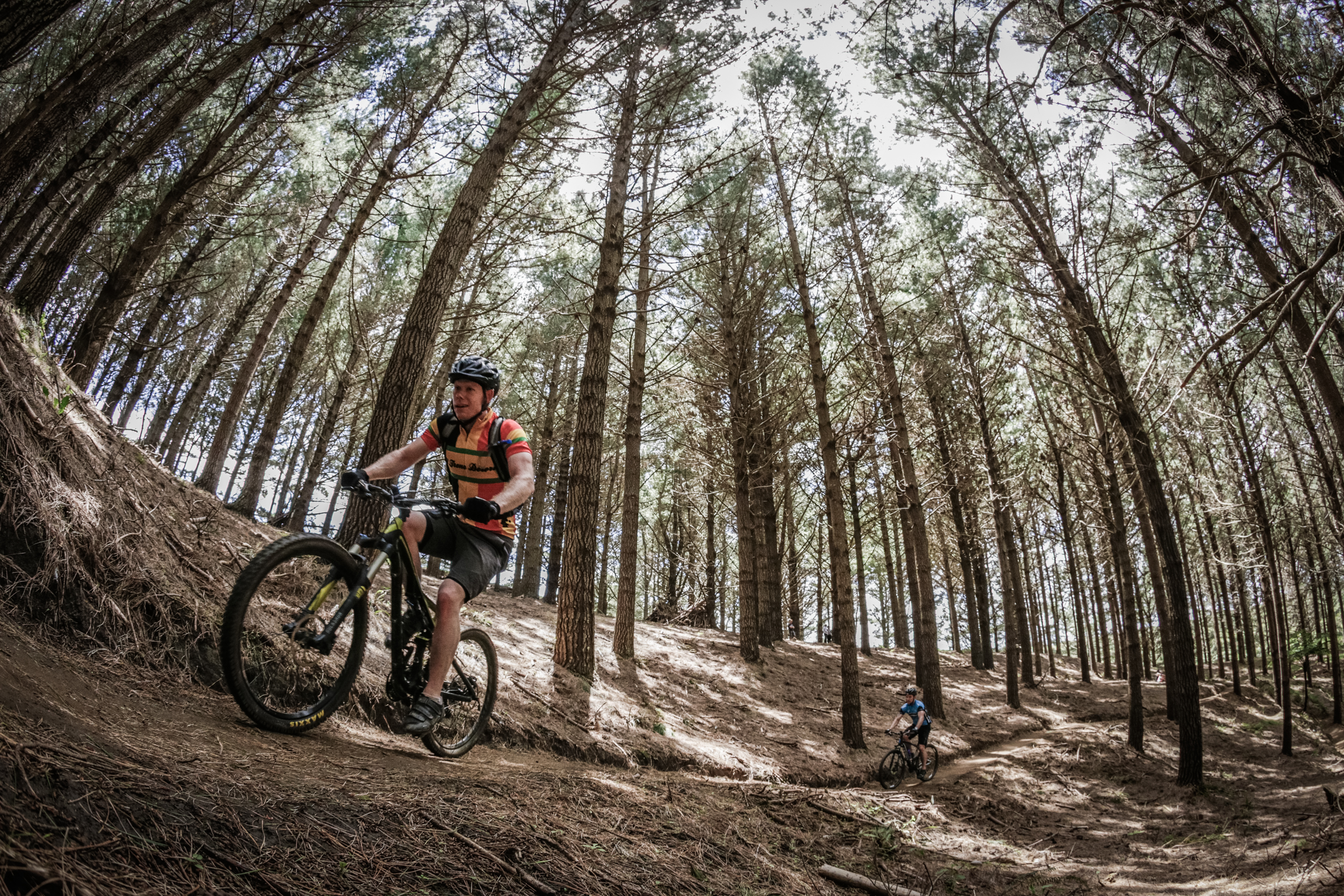 Raglan Cycleways Cycle Trails WaikatoNZ